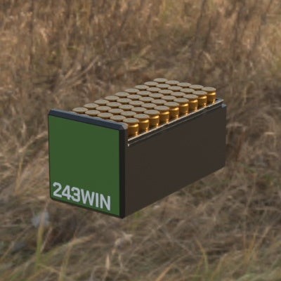 Munitionsbox .243 Winchester – 50er (BBox)