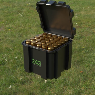 Munitionsbox .243 Winchester – 25er (ABox)