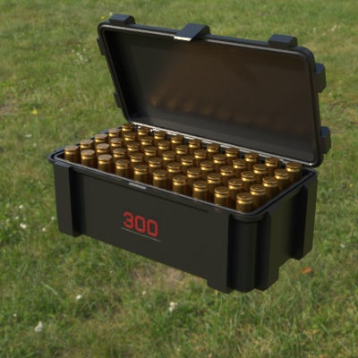 Munitionsbox .300 AAC Blackout – 50er (ABox)