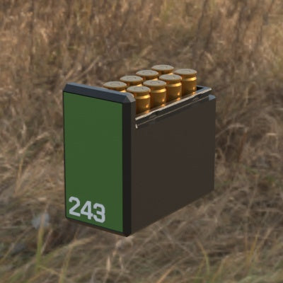 Munitionsbox .243 Winchester – 10er (BBox)