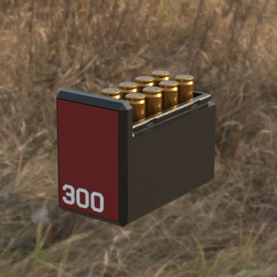 Munitionsbox .300 AAC Blackout – 10er (BBox)