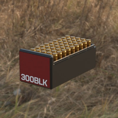 Munitionsbox .300 AAC Blackout – 50er (BBox)